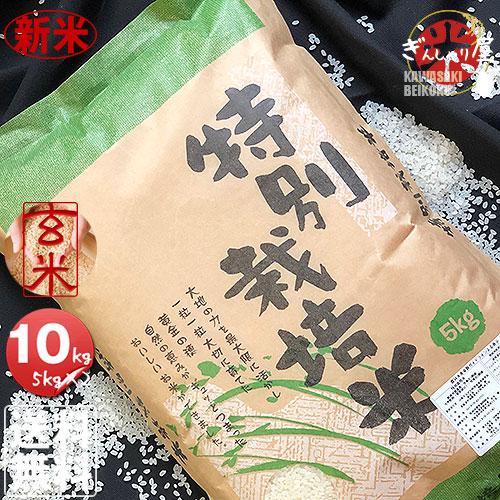 新米 米 10kg 5kg×2袋セット お米 玄米 ななつぼし 北海道産 特別栽培米 玄米 白米 分づき米 令和5年産 送料無料