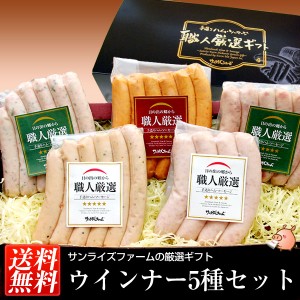 ギフト ソーセージ 詰合せ ギフト 自家製ウインナー5種セット　送料無料　のしOK ソーセージギフト パーティ ※一部地域は別途送料追加