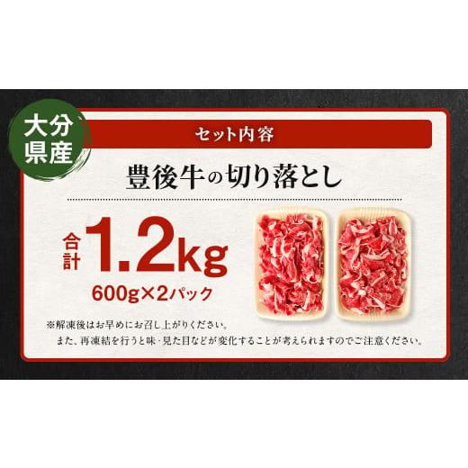 ふるさと納税 大分県 九重町 切り落とし 1.2kg (600g×2) 焼肉 ステーキ 霜降り