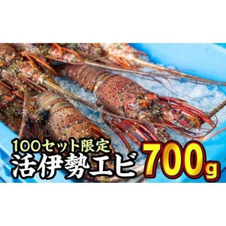 ふるさと納税  活伊勢エビ 約700gセット （２?３尾）《10月12日〜4月期間限定出荷：先行予約も可（到着日時指定必須商品）》　HA-45  三重県尾鷲市