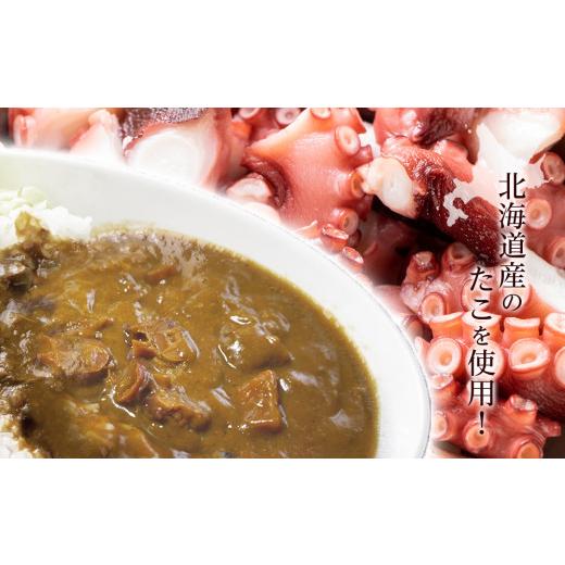 ふるさと納税 北海道 天塩町 いつでも手軽に「たこカレー」５個セット