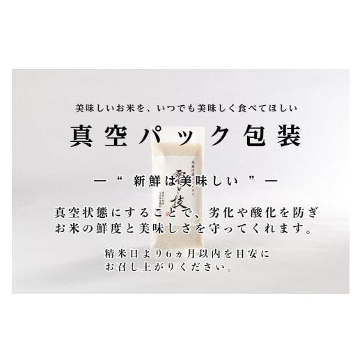 ふるさと納税 新潟県 津南町 〔 真空パック 2合×12袋 〕×6ヵ月《 雪蔵貯蔵米 》魚沼産コシヒカリ 雪と技   農薬5割減・化学肥料5割減栽培