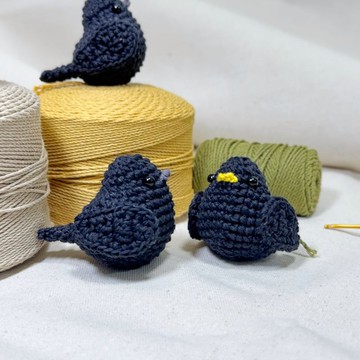 【動物系列】八哥/烏鴉