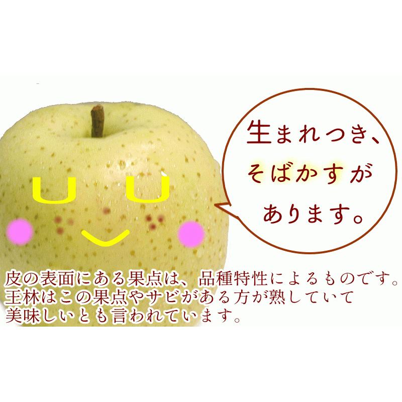 あすつく 青森 りんご 10kg箱 王林 送料無料 家庭用 訳あり 青森 リンゴ 訳あり 10キロ箱★王林 家訳 10kg箱