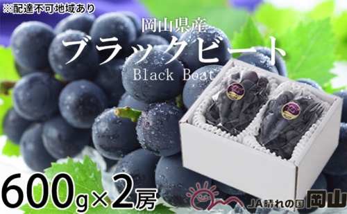 ブラックビート 約600g×2房 ぶどう 葡萄 岡山県産 2023年