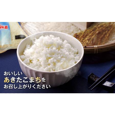 ふるさと納税  令和5年産 なまはげの里の あきたこまち 白米 20kg 10kgx2 笹川商店 秋田県 男鹿市 秋田県男鹿市