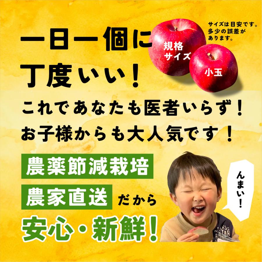 「サンふじ5キロ箱小玉」 減農薬 甘い 小玉 りんご 飴 長野県 安曇野 信州 産地直送 果物 フルーツ 小玉 ギフト 贈答 家庭 5kg