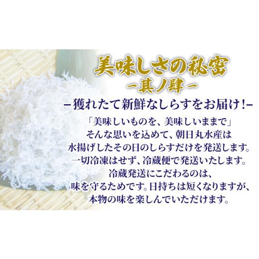 ふるさと納税 徳島県 小松島市 釜揚げ しらす 800g 国産 徳島県産 和田島産 とれたて 新鮮 産地直送 冷蔵 発送 小分け 200g 4袋 セット 和田島しらす ちりめん…