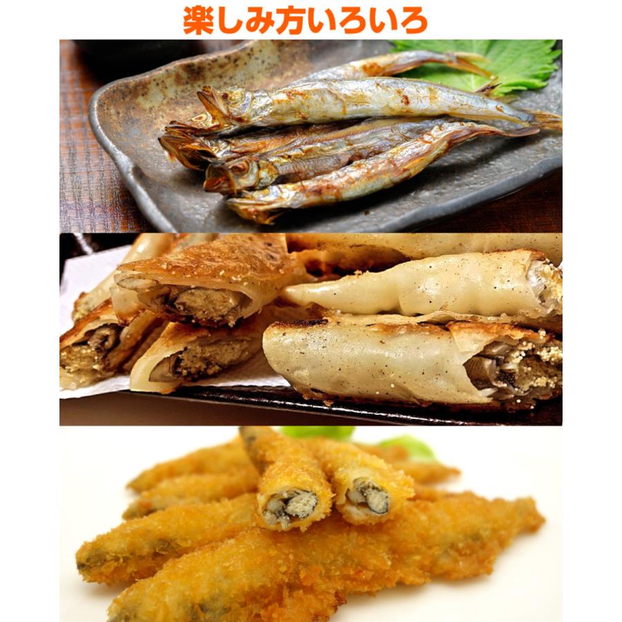 北海道産 本ししゃも メス30尾 送料0円 本物ししゃも ししゃも シシャモ Shishamo 柳葉魚 道産ししゃも 干物 魚 肴 お正月 お歳暮