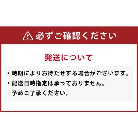 ふるさと納税 福岡県産 冷凍 あまおう 合計2kg (500g×4袋) いちご 苺 フルーツ 福岡県嘉麻市