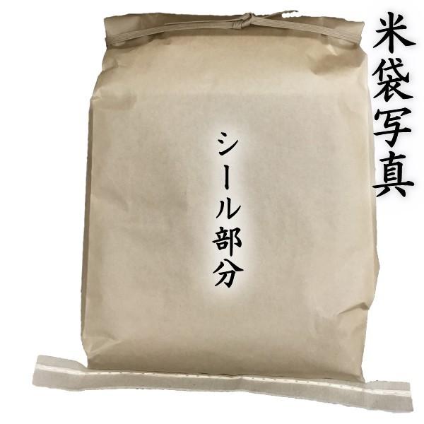 お米 米 30kg 玄米 熊本県産 ひのひかり 新米 令和5年産 ヒノヒカリ 5kg6個 あすつく くまもとのお米 富田商店 とみた商店