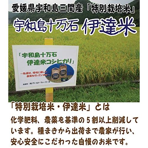 宇和海の幸問屋 2023年産 コシヒカリ 白米 5kg 三間産 伊達米 減農薬 特別栽培米