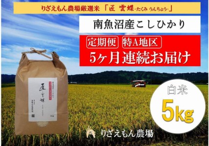 令和５年産　南魚沼産コシヒカリ　白米5kg＼生産農家直送／