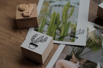 【窩窩頭原創印章】仙人掌