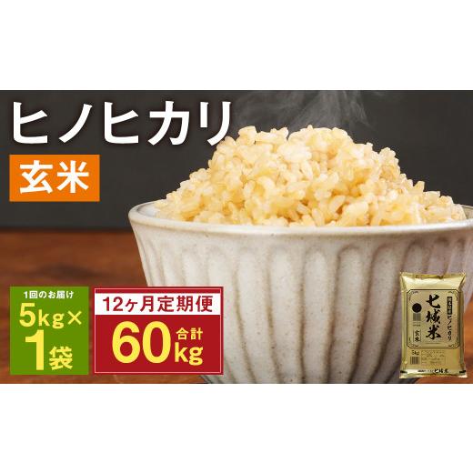 ふるさと納税 熊本県 菊池市 熊本県菊池産 ヒノヒカリ 玄米 計60kg（5kg×12回）米 お米 残留農薬ゼロ 低温貯蔵