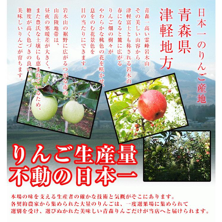 訳ありりんご 5kg 20玉前後 訳あり 青森県産 送料無料 葉取らずりんご 蜜入り サンふじ リンゴ 林檎 お得用 果物 フルーツ ５kg