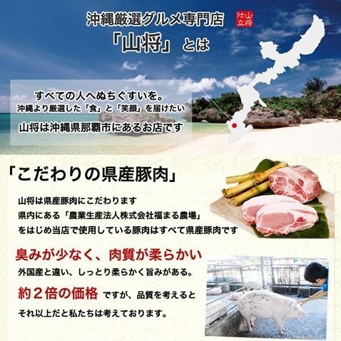 厚切り ステーキ 赤身 肉 赤身肉 豚肉 国産 600g