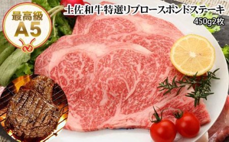 土佐和牛A5特選リブロースポンドステーキ約450g×2枚セット　牛肉