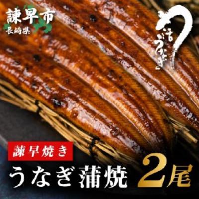 ふるさと納税 諫早市  うなぎ蒲焼2尾