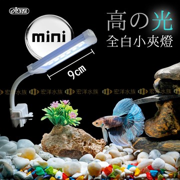 宏洋水族【ISTA-高之光全白小夾燈】魚缸夾燈 LED夾燈 水草燈 USB夾燈 魚缸燈 水草燈 魚缸照明 造景燈 水族燈