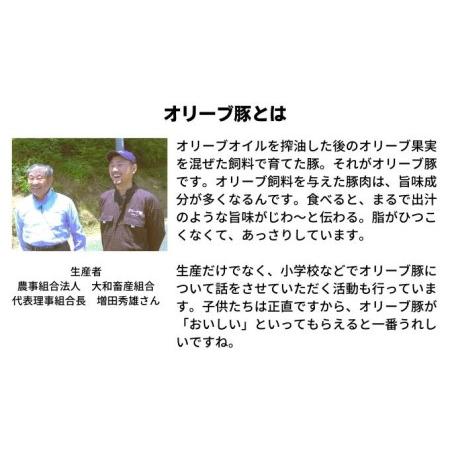 ふるさと納税 オリーブ豚　ロースしゃぶしゃぶ用500g 香川県綾川町