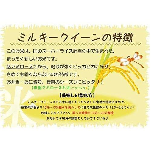 新米 精白米 5kg 令和3年産 新潟県産 ミルキークイーン 安心安全な特別栽培米