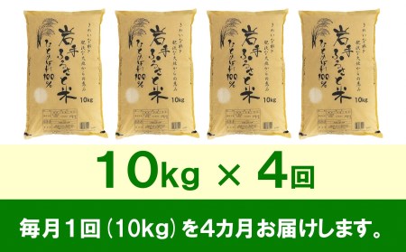 3人に1人がリピーター!☆全4回定期便☆ 岩手ふるさと米 10kg×4ヶ月 令和5年産 新米 一等米ひとめぼれ 東北有数のお米の産地 岩手県奥州市産[U0151]