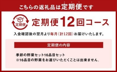  季節の野菜セット 16品目