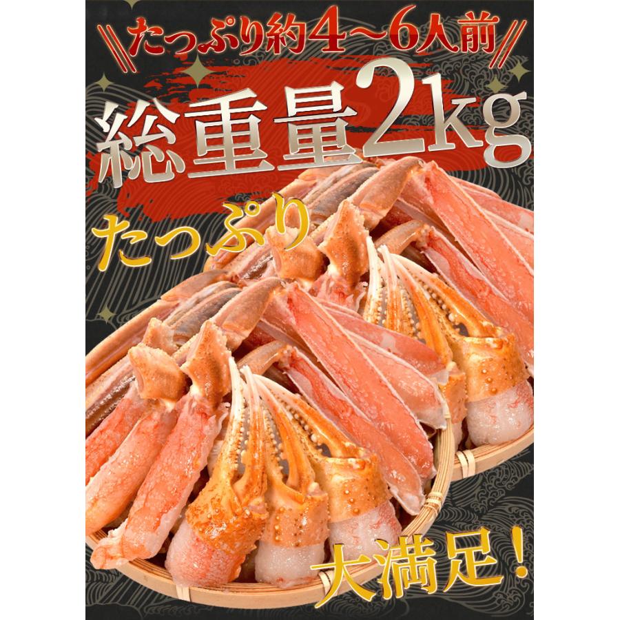 かに ズワイガニ ポーション お刺身 むき身 生 ずわいがに 生食 用 １．４ｋｇ（総重量２ｋｇ前後） 冷凍 送料無料 本ズワイガニ 蟹