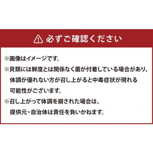 ふるさと納税 北海道 小樽市 北海道 小樽発 北海道産 帆立貝柱(刺身用) K(0080421) 約1.7kg