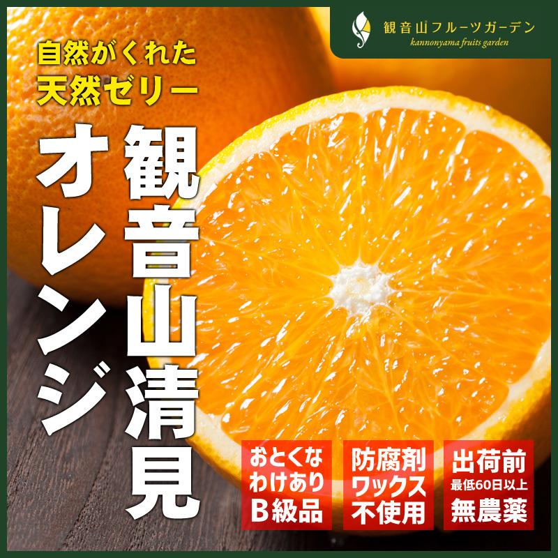 清見オレンジ おてんば娘 B級品 8kg 和歌山 観音山フルーツガーデン 送料無料