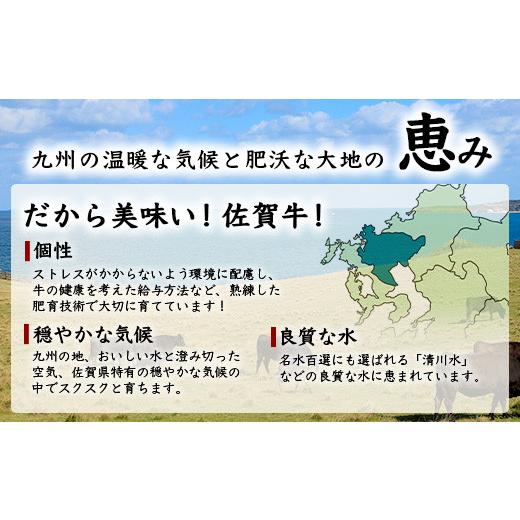 ふるさと納税 佐賀県 鹿島市 佐賀牛 食べ比べ お試し定期便 サイコロステーキ サーロインステーキ ローストビーフ F-57