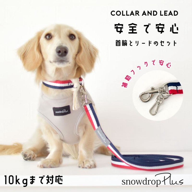 リボン 首輪 リードセット snowdrop 小型犬 犬 リード 首輪 簡単