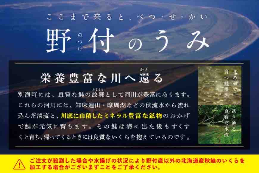 イチオシ！ランキング１位獲得！すぐ食べれる 国産大粒 いくら ！希少新物！本場「北海道」 いくら醤油漬 250g （ 海鮮 海の幸 魚介類 海産物 魚卵 鮭卵 ）