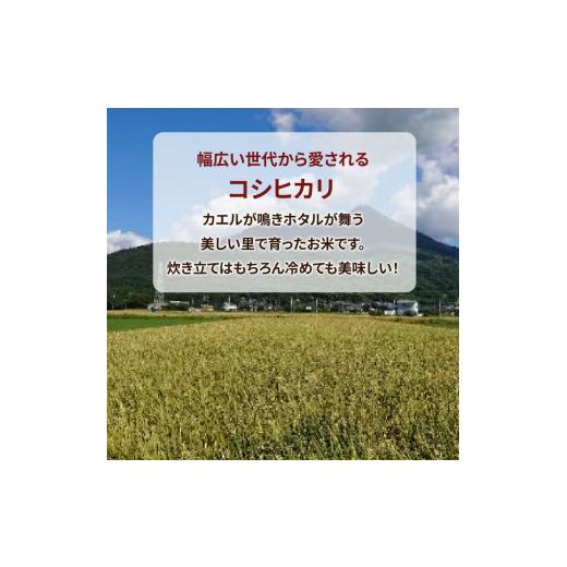 ふるさと納税 茨城県 土浦市 令和5年産米 新米 土浦市産 コシヒカリ 精米5kg ｜ 茨城県土浦市のお米が収穫される旧新治村地区は、ホタルが舞うのどかな里です…