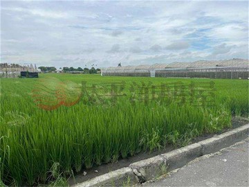 大村美田地(二)｜彰化縣大村鄉新興段