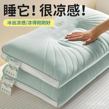 🚚免運🔥夏季涼感絲枕頭冰絲一對裝枕頭芯護頸椎助睡眠學生宿舍枕頭芯單隻 Z4HA