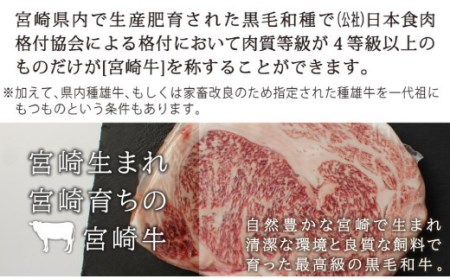 宮崎牛 牛肉 サーロイン ブロック 500g 牛肉 冷凍 牛肉 内閣総理大臣賞受賞 宮崎県産 牛肉 九州産 送料無料 ステーキ 霜降り 牛肉