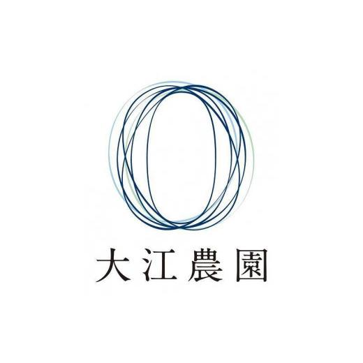 ふるさと納税 京都府 京丹後市 京都丹後産 セリーヌメロン 2玉入り（2024年7月〜発送）