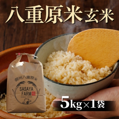 八重原米 玄米 5kg (5kg×1袋)