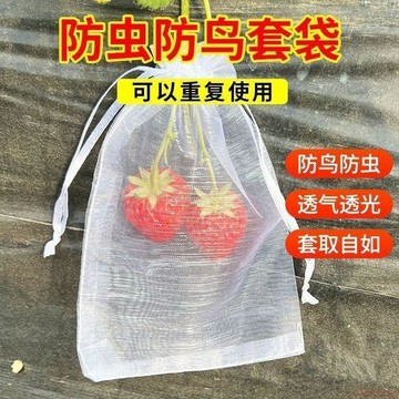 桃園出貨✨尼龍防蟲網袋套葡萄水果枇杷防鳥防蟲白色紗網套袋透氣防蠅套樹苗