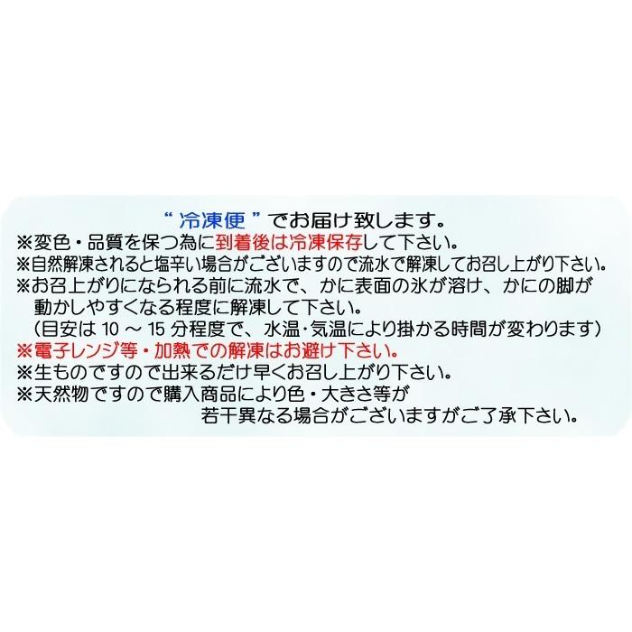 釜ゆでずわいがに 約900g〜1.0kg (2枚入・かに酢1本付）≪冷凍≫