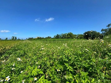 專任 花蓮吉安干城環山景優質面寬型農地｜花蓮縣吉安鄉干城