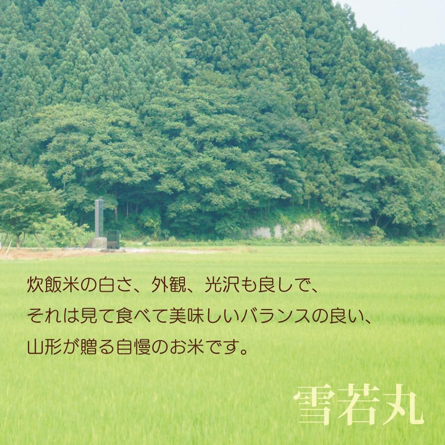 白米 令和４年産 雪若丸 ５kg 山形県産 送料無料 国産 ギフト お米 お取り寄せ お試し 御中元 お中元 御歳暮 敬老の日 御礼 誕生祝い 御祝 返礼品