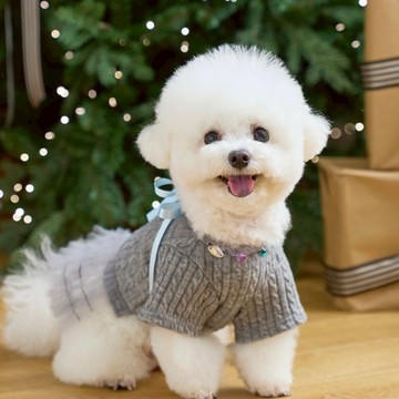 寵物服飾-珠寶芭蕾舞紗裙灰(Melan Grey)-韓國it’s 寵物衣服 狗狗衣服  小型犬衣服 比熊犬服