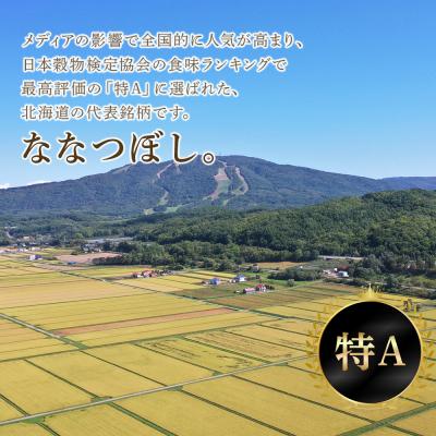 ふるさと納税 千歳市 北海道産ななつぼし 10kg