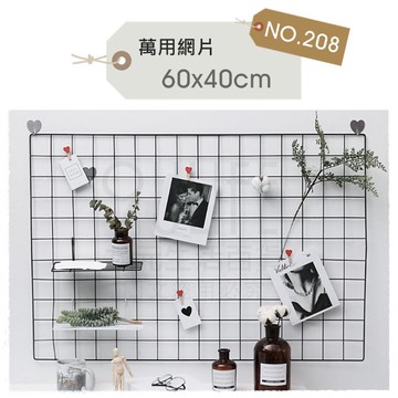 【九元生活百貨】NO.208 萬用網片/60x40cm 網格 網架 吊籃搭配 PE網片