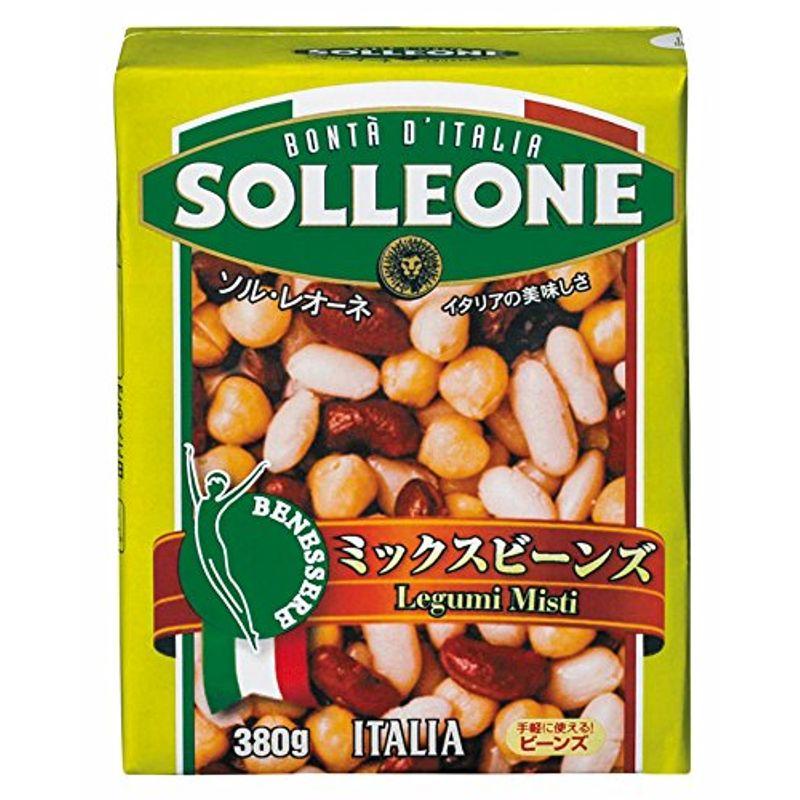 SOLLEONE ソル・レオーネ ミックスビーンズ 380g (テトラ紙パック) 1ケース(16パック)