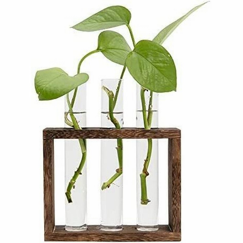 お求めやすく価格改定 ガラステストチューブ花瓶花植物水耕プランター木製スタンド1 alice.com.ve