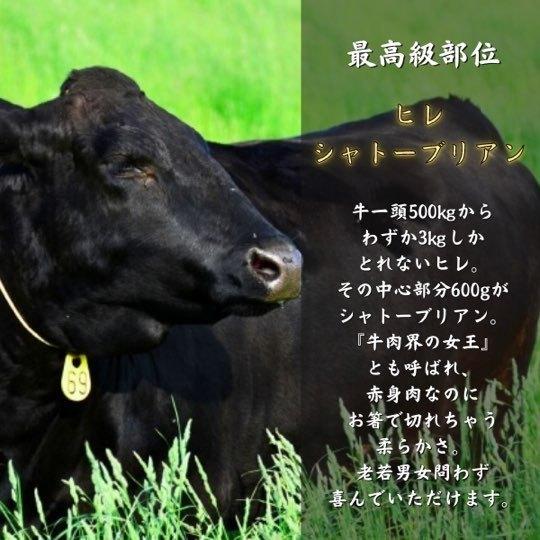 贈り物 国産 シャトーブリアン ヒレステーキ 各100g×2 低温熟成 焼肉 赤身 フィレ 肉 セット 祝 ギフト 贈答用